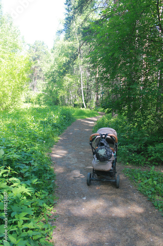 Children sleeping outdoors in forest with fresh air in strollers during sunny summer day photo