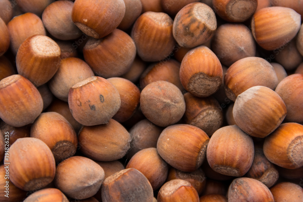 Food background of the hazelnuts. Fresh filbert close-up