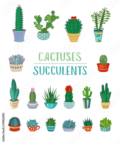 Vector set of cactuses and succulents.
