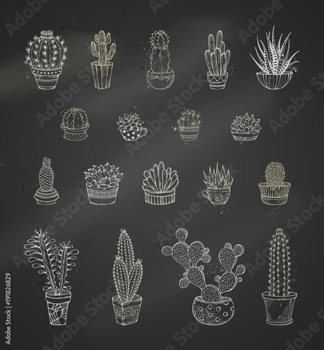 Vector set of chalk cacti and succulents on blackboard background.