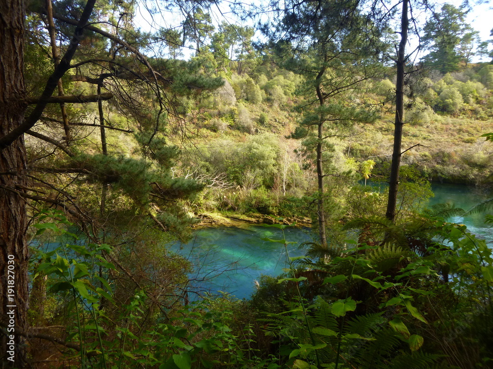 Green river running through the forest Green river running through the forest