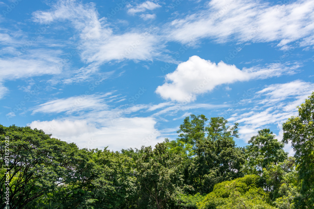 Could with blue sky and trees at day time