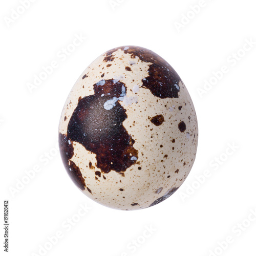 Quail egg isolated