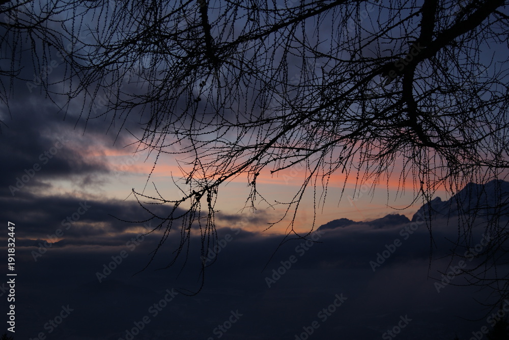 Fototapeta premium SONY DSC