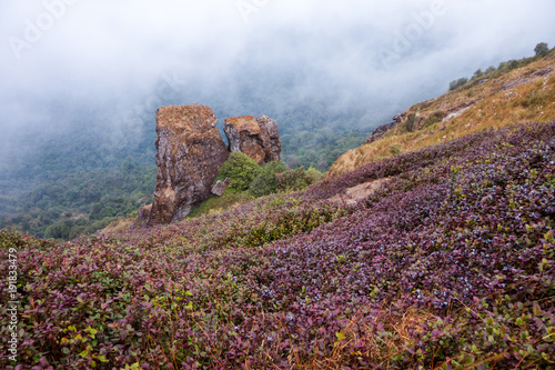 View point at Kew Mae Pan Nature Trail,Doi Inthanon National Park,Chiang Mai, Thailand