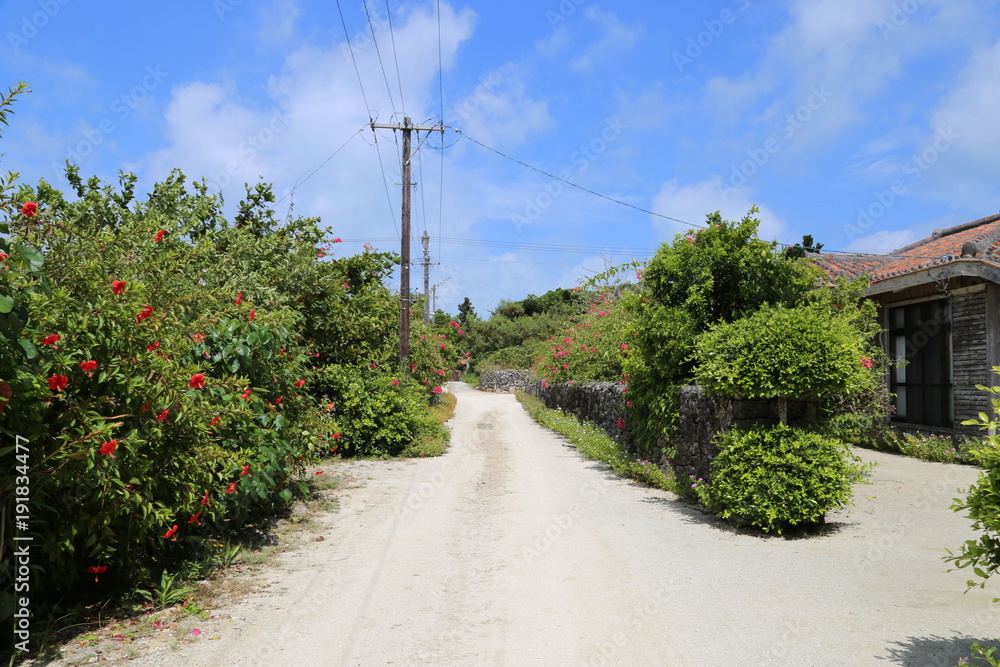 竹富島