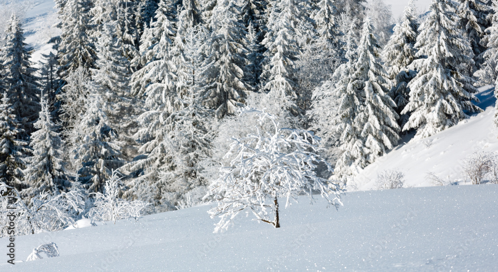 Winter mountain snowy landscape Winter mountain snowy landscape