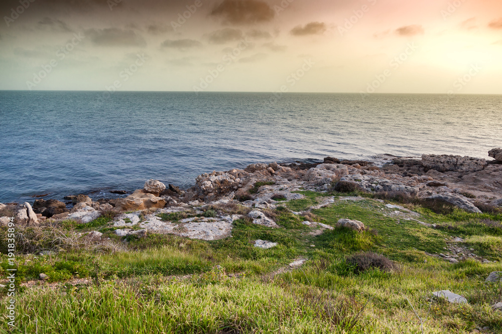Sea stone coast with green grass at sunset. Beautiful scenery, Cyprus, Paphos