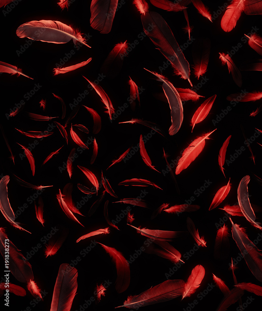 Abstract pattern of red feathers on a black background. Abstract pattern of red feathers on a black background.