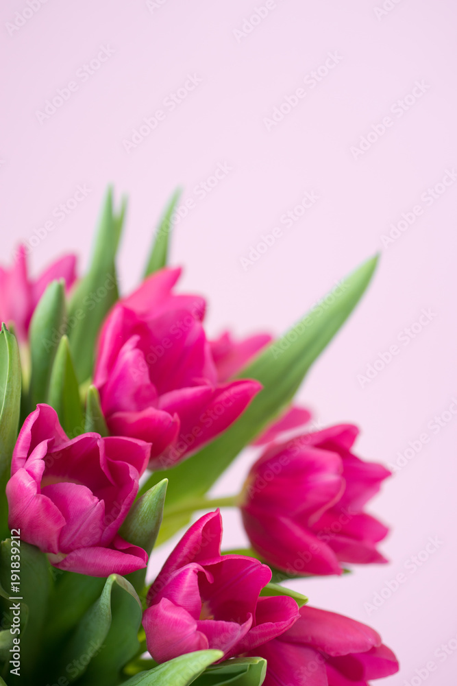 Obraz premium Bouquet of tulips flowers