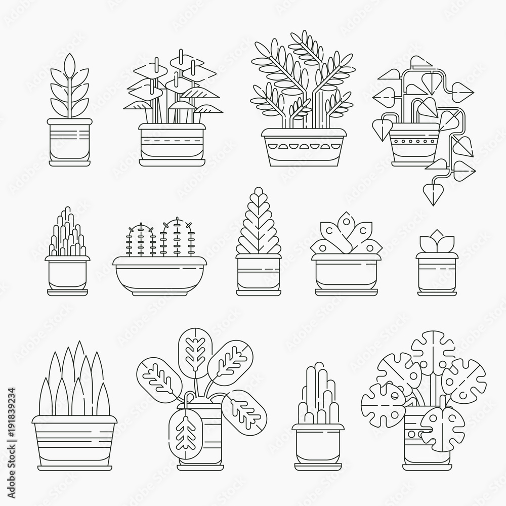 Set of houseplants icons in line design, editable stroke. Various plants collection in flowerpots isolated. Indoor plants icons and infographic elements - vector stock illustration. Set of houseplants icons in line design, editable stroke. Various plants collection in flowerpots isolated. Indoor plants icons and infographic elements - vector stock illustration.