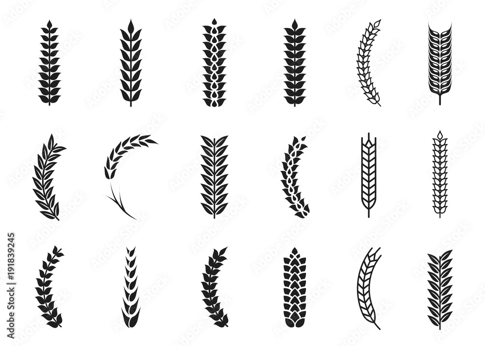 Vector wheat ears icons. Oat and wheat grains Vector wheat ears icons. Oat and wheat grains