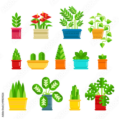 Set of houseplants vector icons in flat design. Various plants collection in flowerpots isolated on white background. Indoor plants icons and infographic elements - stock vector illustration.