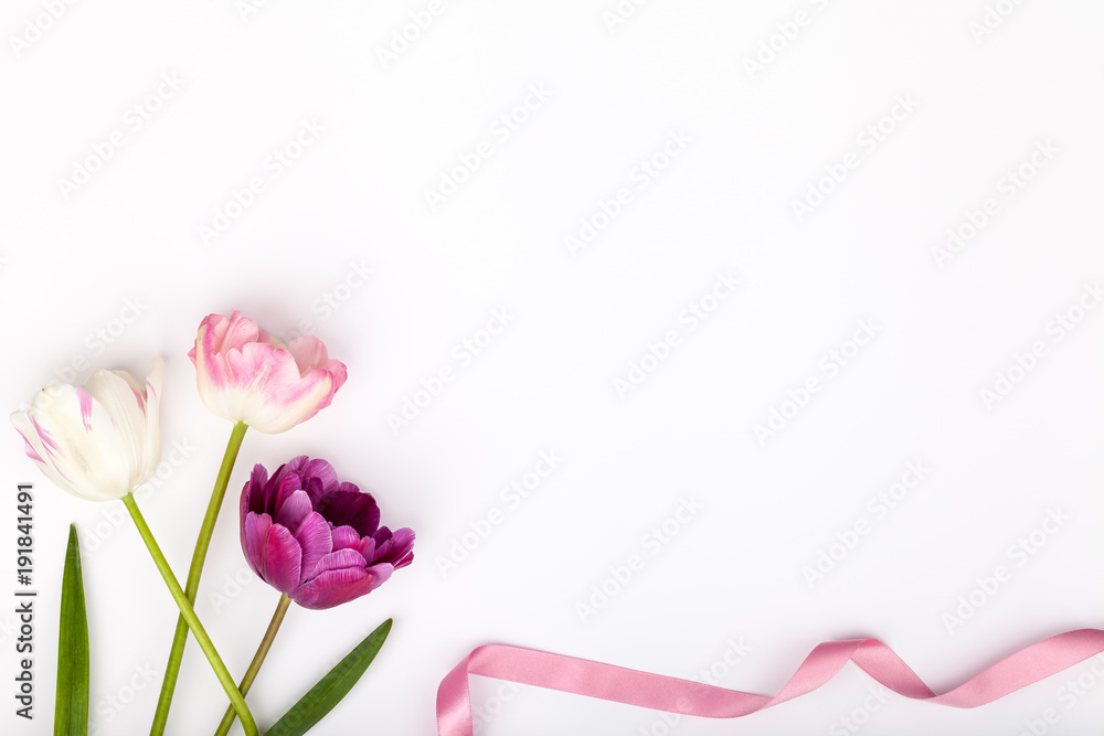 garden flowers tulips isolated on white background with copy space for your text. vintage card, flat lay, top view. wedding, Mothers day or Womens day composition garden flowers tulips isolated on white background with copy space for your text. vintage card, flat lay, top view. wedding, Mothers day or Womens day composition