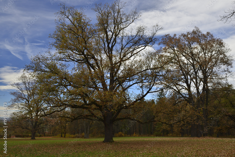 Obraz premium Hluboka Castle and Park