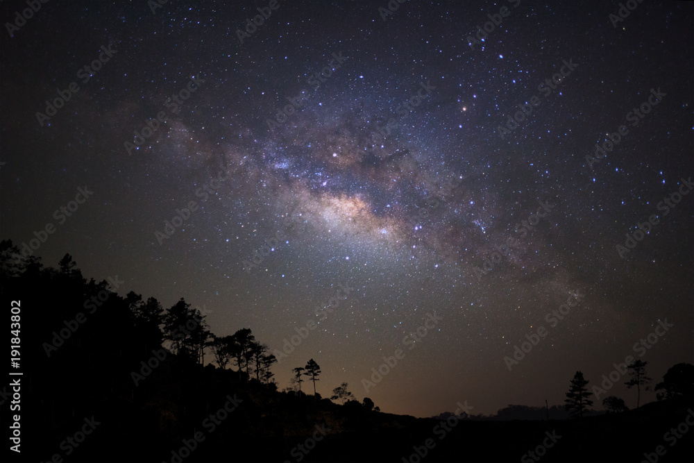 Landscape silhouette of tree with milky way galaxy and space dust in the universe, Night starry sky with stars Landscape silhouette of tree with milky way galaxy and space dust in the universe, Night starry sky with stars