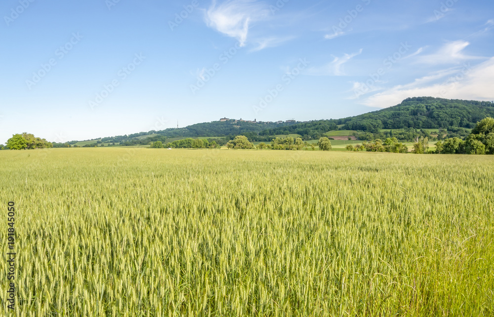 spring time around Waldenburg