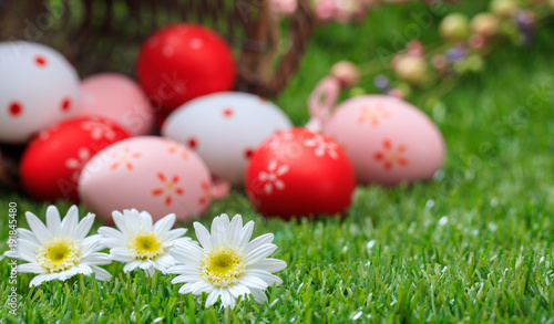Easter concept. White daisies on green grass, blurred easter eggs background. Selective focus on the flowers