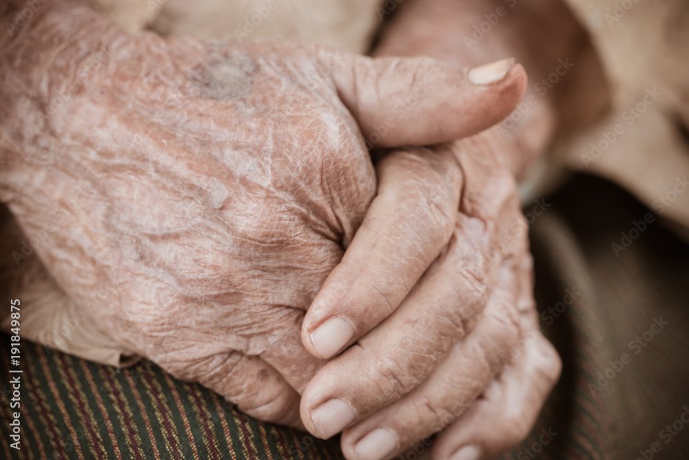 Fototapeta premium Hands Asian elderly woman grasps her hand on lap, pair of elderly wrinkled hands in prayer and Traces of hard work, World Kindness older and Adult care, Mother day people concept