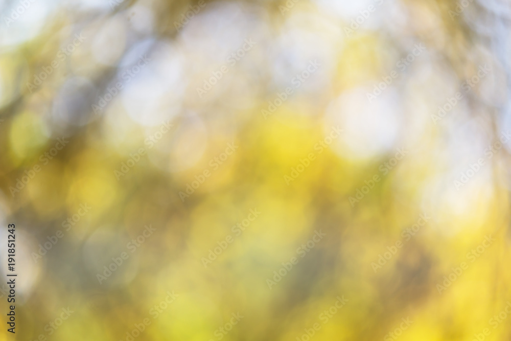Abstract bokeh green white background Abstract bokeh green white background