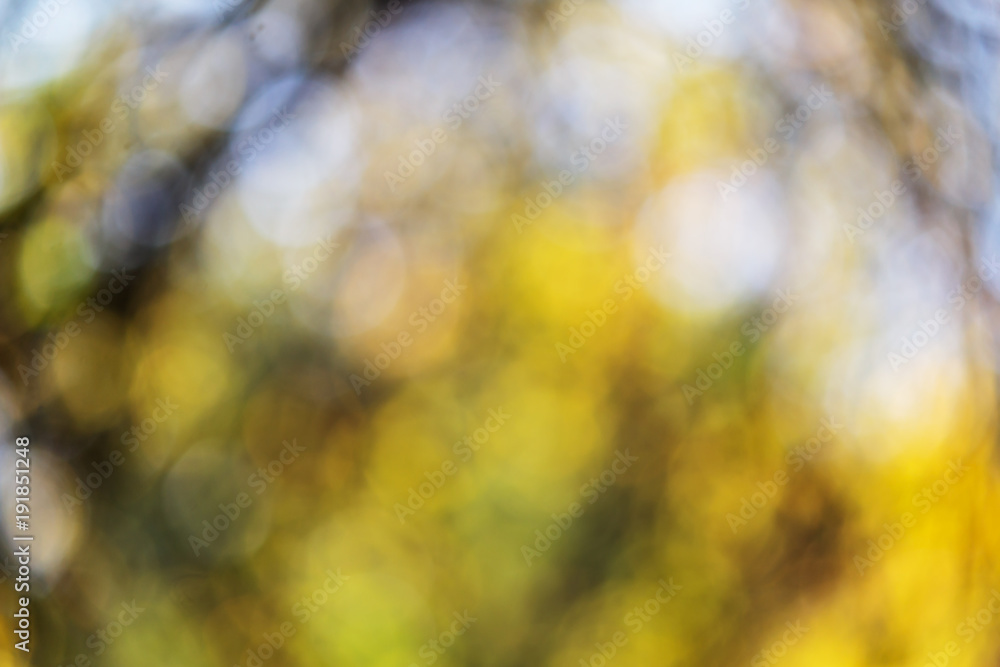 Abstract bokeh green white background Abstract bokeh green white background