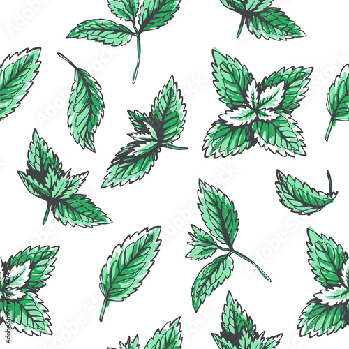 Vector seamless pattern with mint leaves. Botanical hand drawn illustration of herb. Floral texture in sketch style