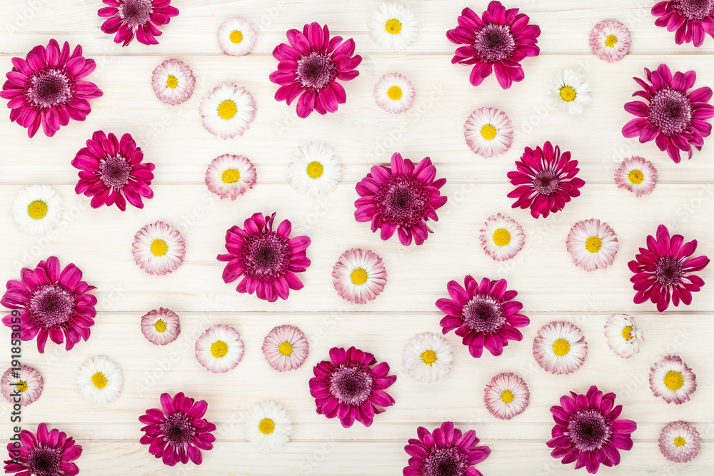 floral pattern made of garden flowers chrysanthemums on white wooden rustic table background. vintage card, flat lay, top view. summer floral concept floral pattern made of garden flowers chrysanthemums on white wooden rustic table background. vintage card, flat lay, top view. summer floral concept