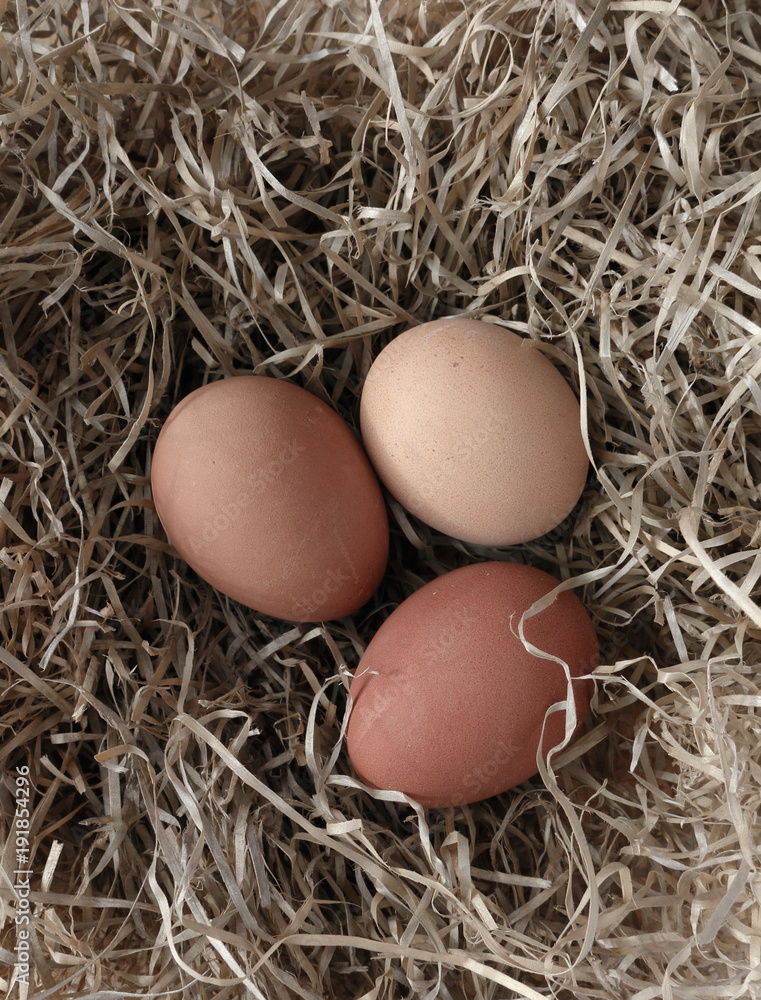 3 Brown Eggs Lying in the Nest. Easter Time. Chicken Eggs Laid in the Hay. 3 Different Shades of Brown. Natural Rustic Composition. 3 Brown Eggs Lying in the Nest. Easter Time. Chicken Eggs Laid in the Hay. 3 Different Shades of Brown. Natural Rustic Composition.