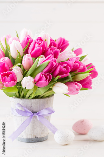 Pink tulip on the white background. Easter background