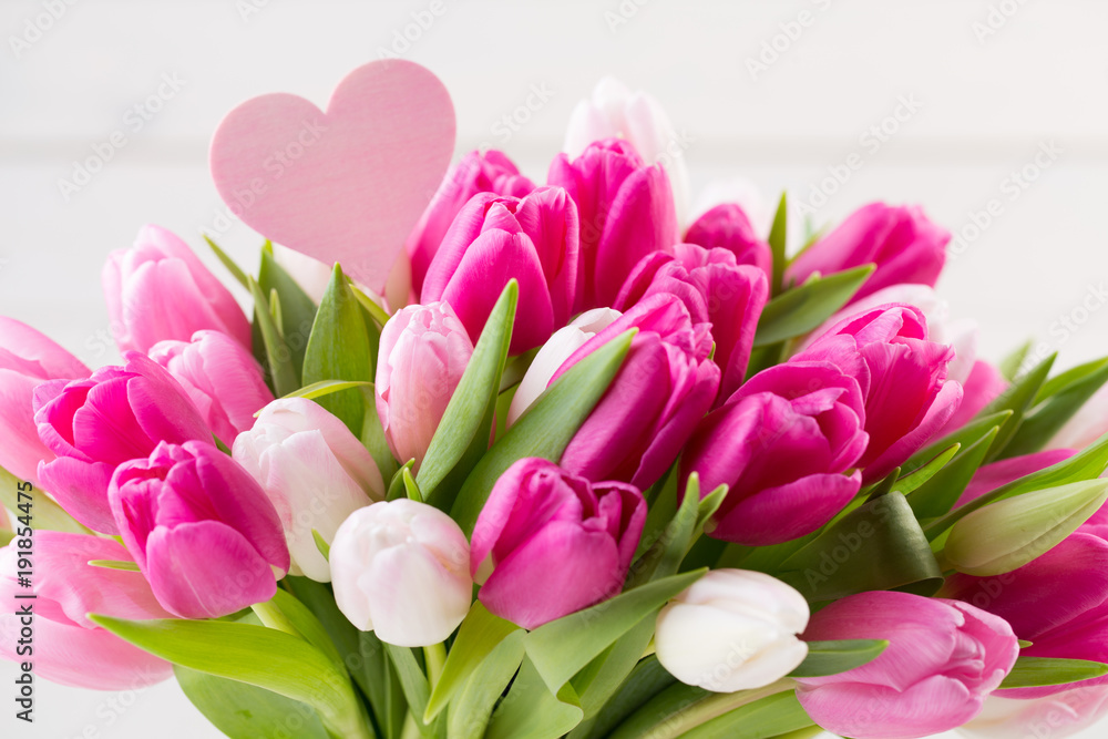 Obraz premium Pink tulip on the white background. Easter background