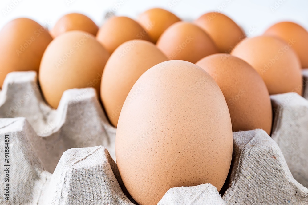 Close up picture of raw an eggs in egg tray Close up picture of raw an eggs in egg tray