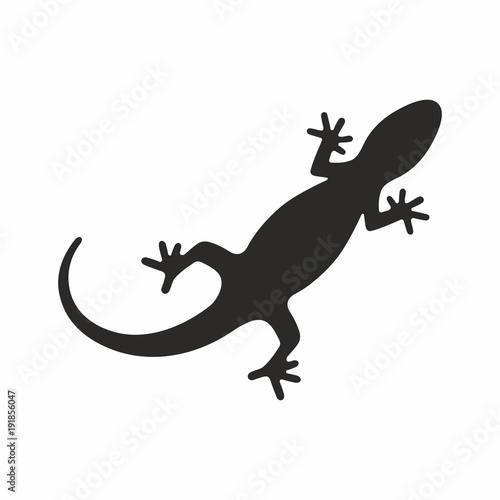 Lizard icon photo