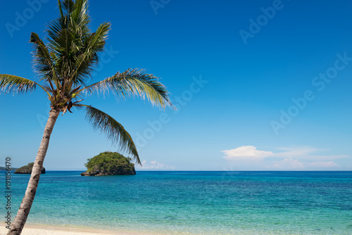 turquoise ocean water and blue sky with palm tree