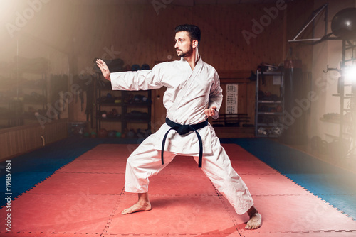 Martial arts master, black belt, karate