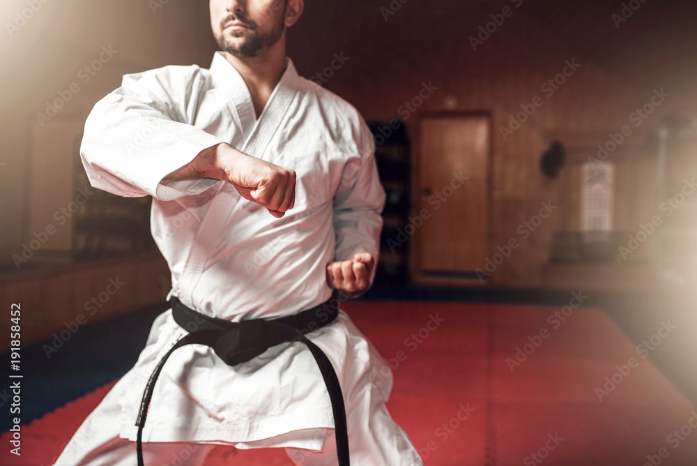 Fototapeta Martial arts master on fight training in gym