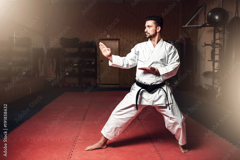 Martial arts master on fight training in gym Martial arts master on fight training in gym