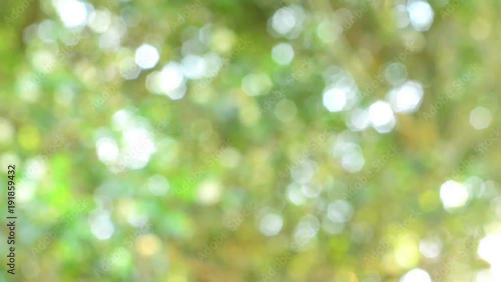 Nature background. Beautiful Sun shine through the blowing on wind tree green leaves. Blurred abstract bokeh with sun flare. Nature background. Beautiful Sun shine through the blowing on wind tree green leaves. Blurred abstract bokeh with sun flare.