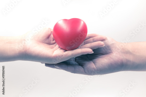 The couple holding red heart in their hands on white background