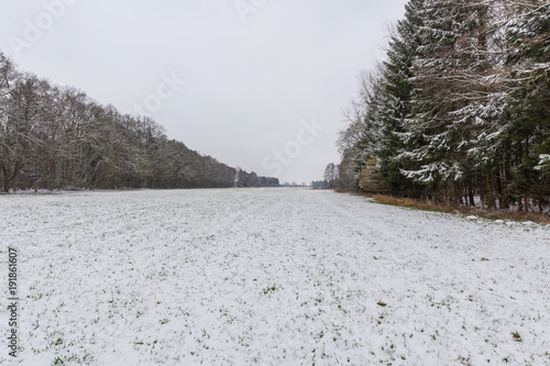 Winterliche Lichtung Wiese