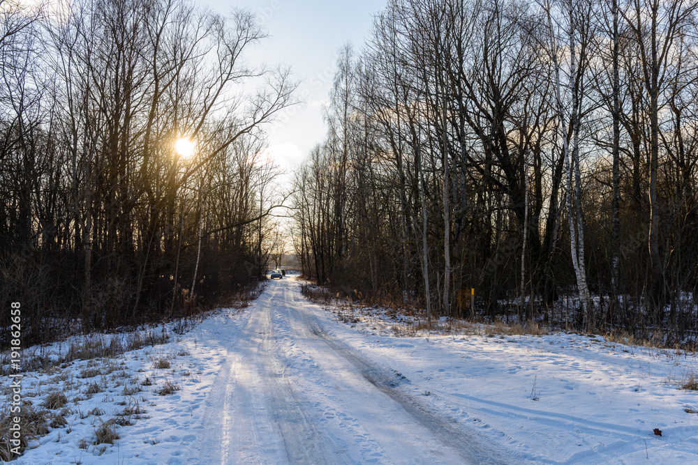 winter rural scene