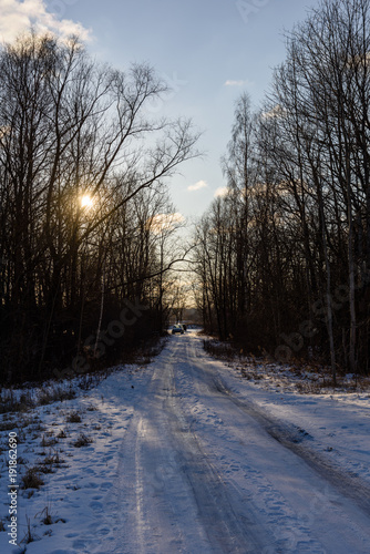 winter rural scene