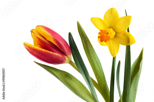 Fototapeta Naklejka Na Ścianę i Meble -  Bright spring bouquet.