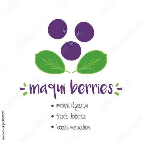 Benefits of maqui berries with doodle, hand drawn illustration isolated on white background.