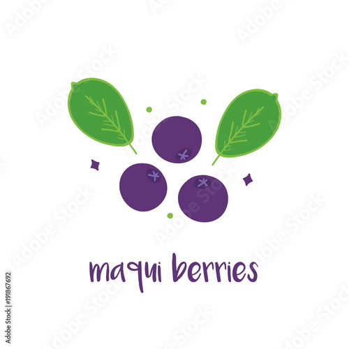 Doodle, hand drawn maqui berries with leaves isolated on white background.