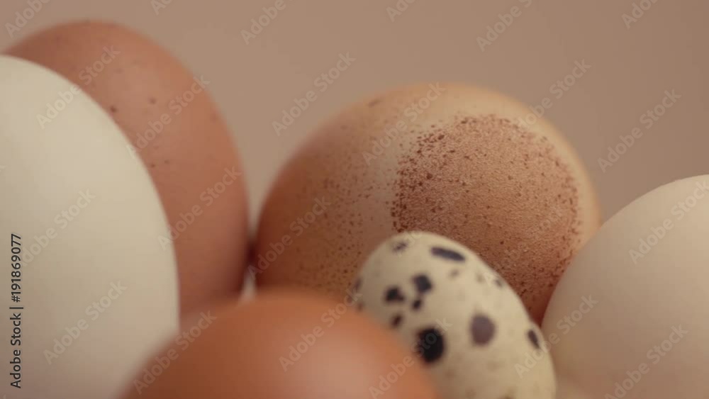 pan movement showing eggs shell texture pan movement showing eggs shell texture