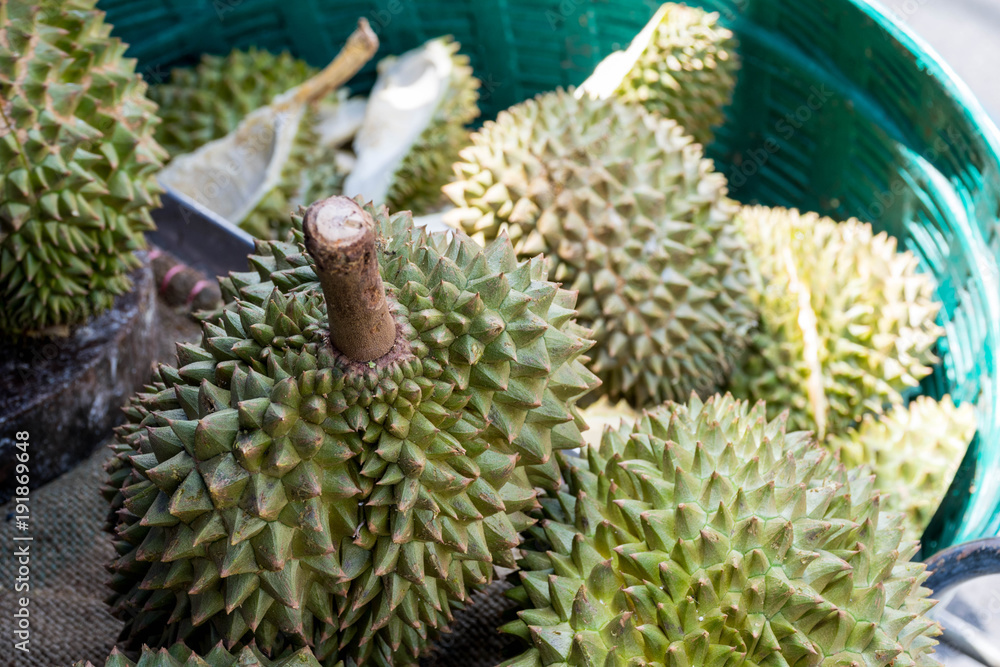 Durians in the market, famous fruit in Thailand Durians in the market, famous fruit in Thailand