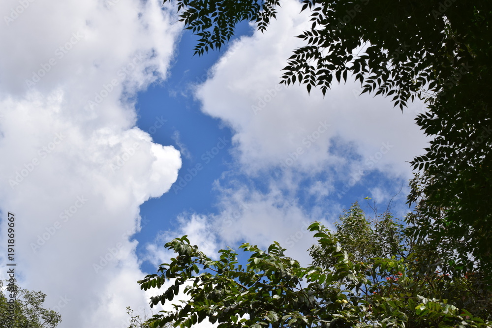 Obraz premium O vazio das copas