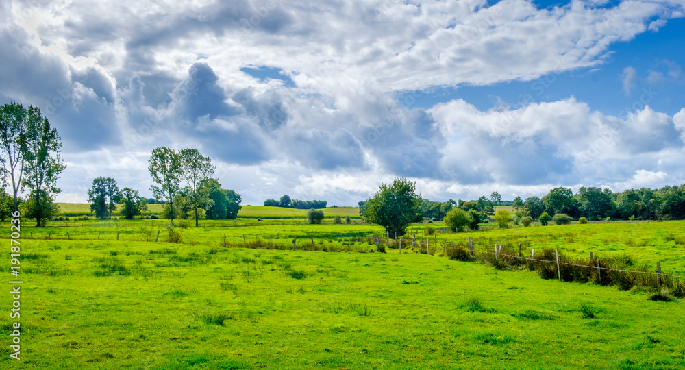 Verdant fields in the Mayenne countryside on a summer day, France Verdant fields in the Mayenne countryside on a summer day, France