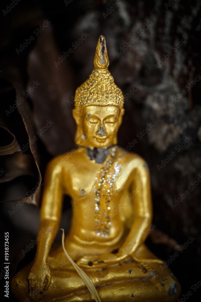 11 February, 2018, Samut Prakan province Thailand : Wat Phichai Songkhram Temple 11 February, 2018, Samut Prakan province Thailand : Wat Phichai Songkhram Temple