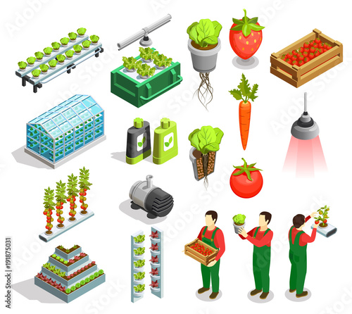 Hydroponic And Aeroponic Isometric Icons